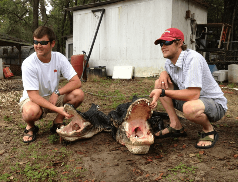 Florida Alligator Hunts | 2 Nights Alligator Hunting 