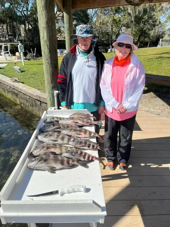 Best Time for Crystal River Scalloping