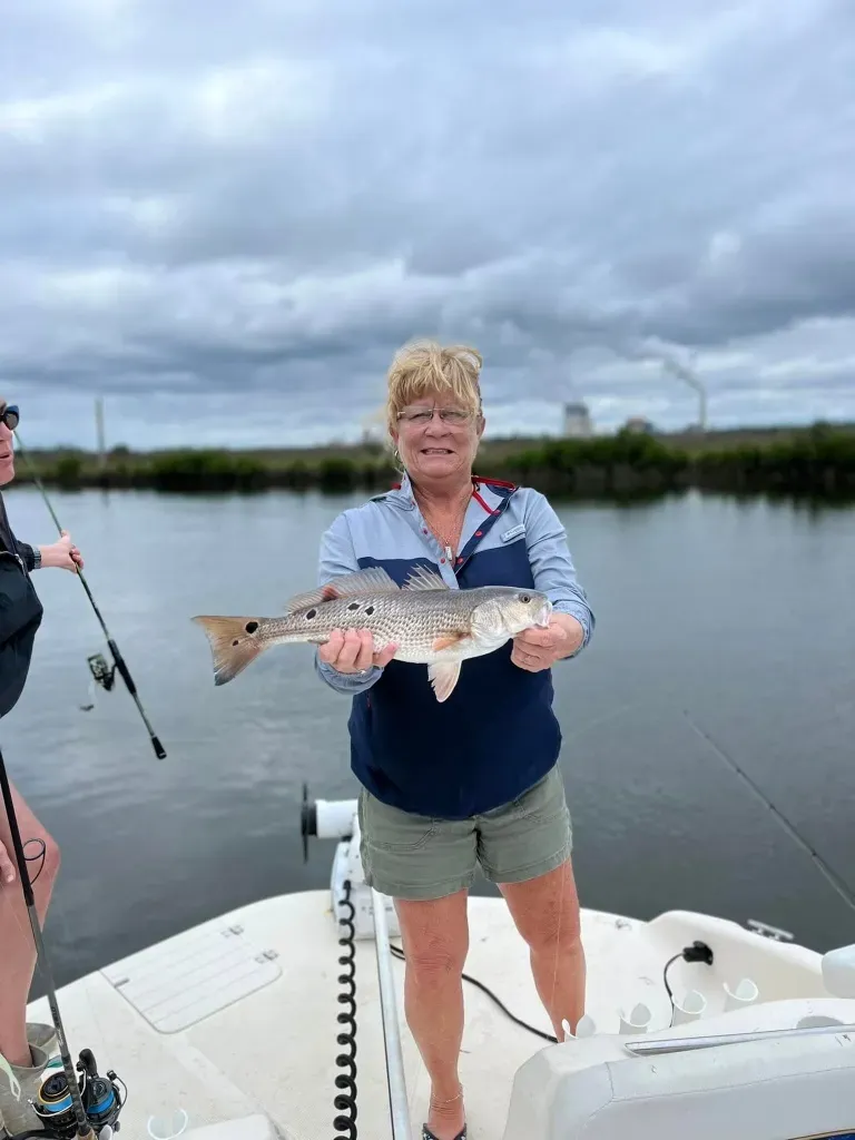 Best Time for Crystal River Scalloping: A Complete Seasonal Guide